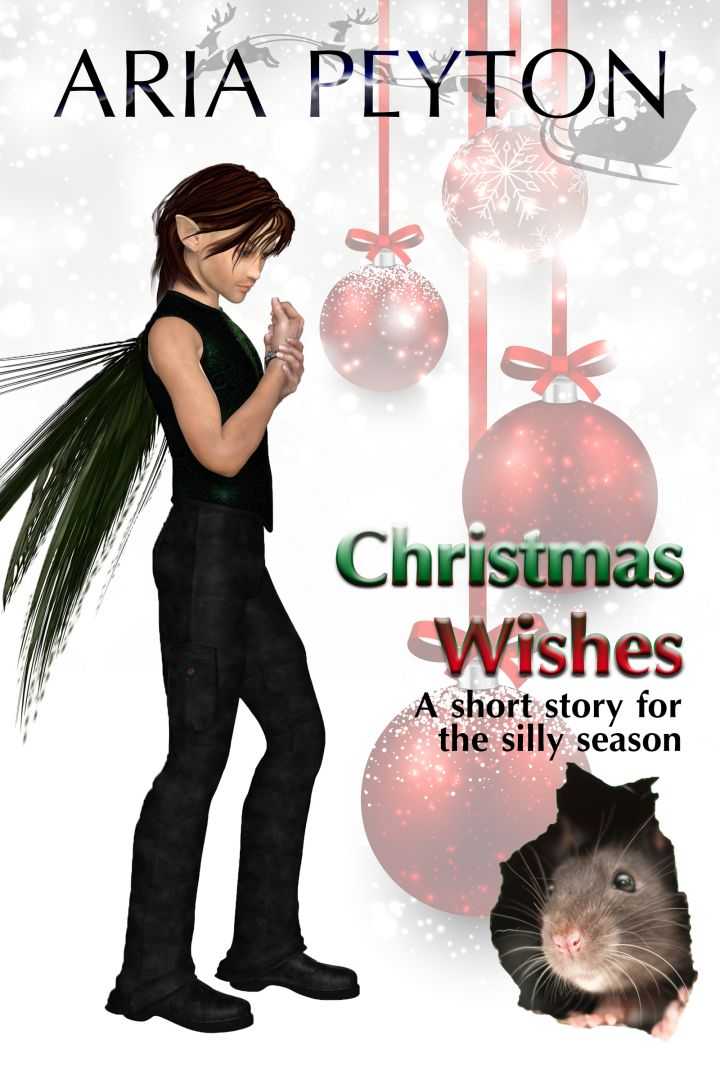 Christmas Wishes – A Short Story for the Silly Season