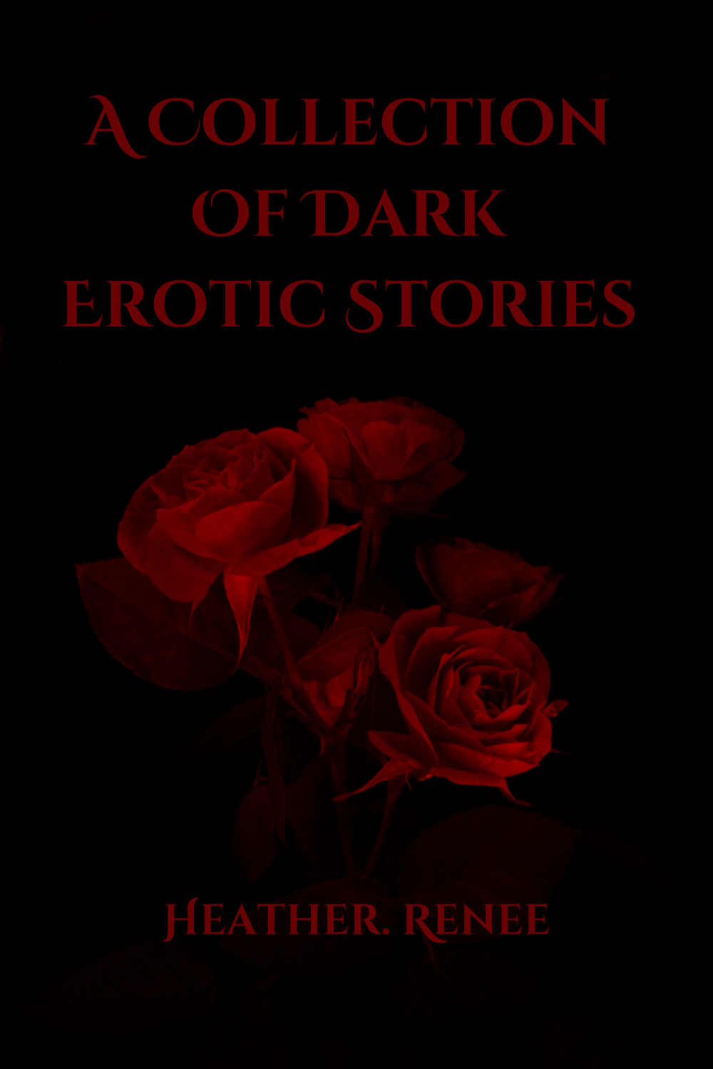 A Collection of Dark Erotic Stories