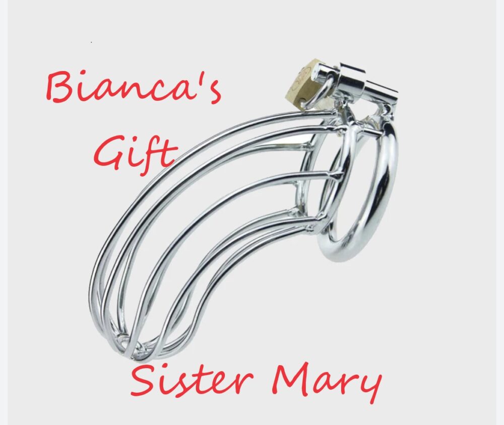 Bianca’s Gift
