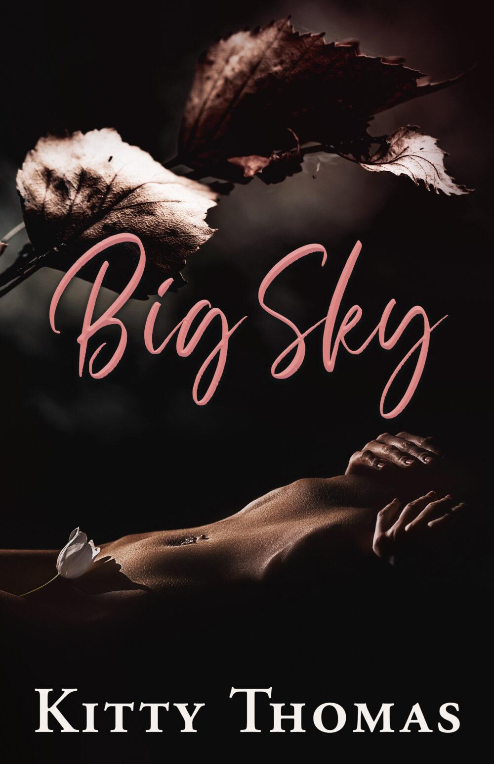 Big Sky A Dark Contemporary Romance