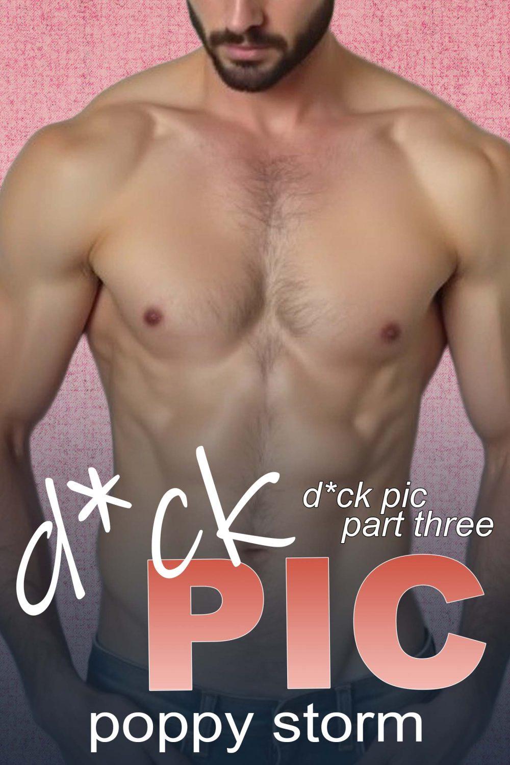 D*ck Pic (Part Three)