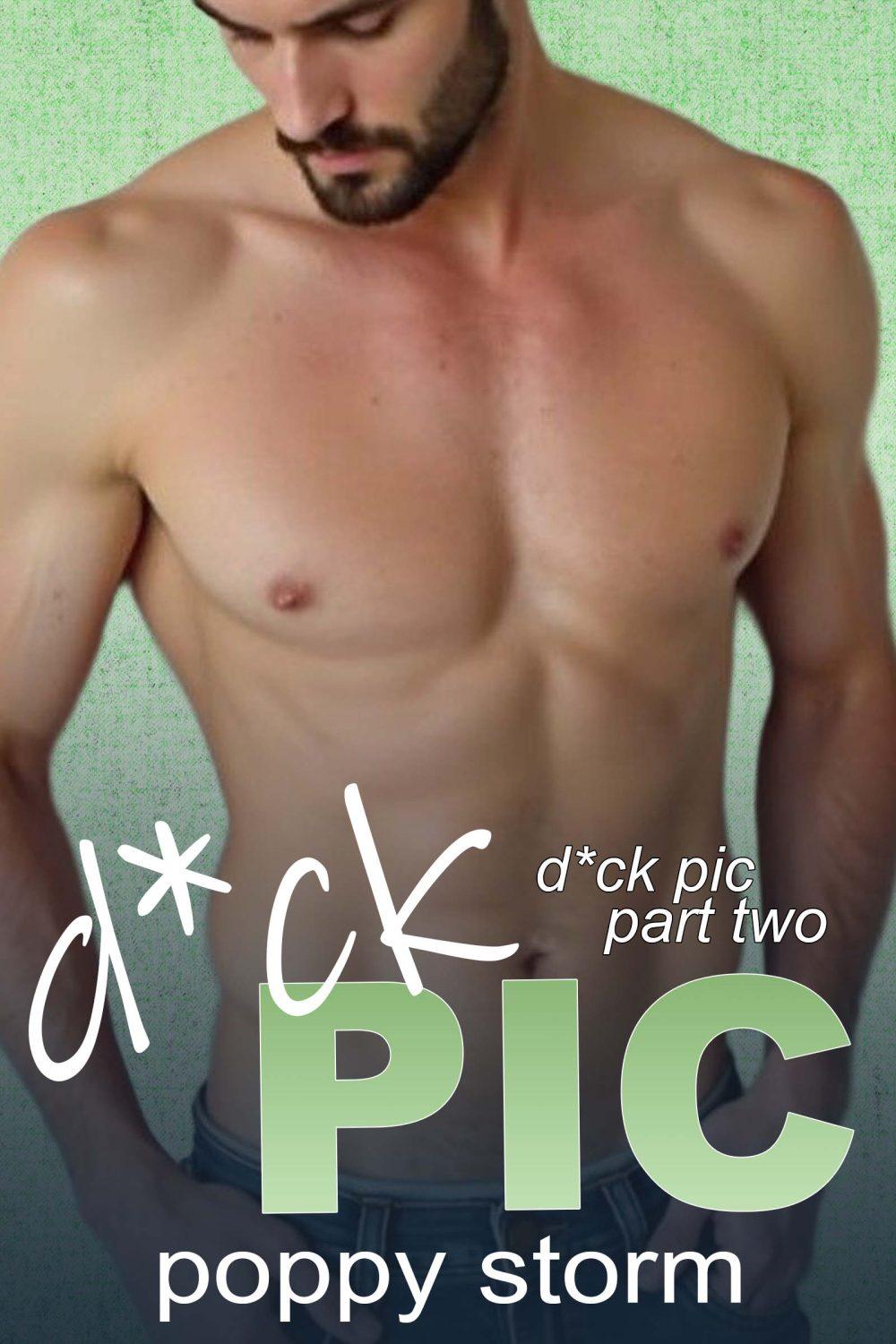 D*ck Pic (Part Two)