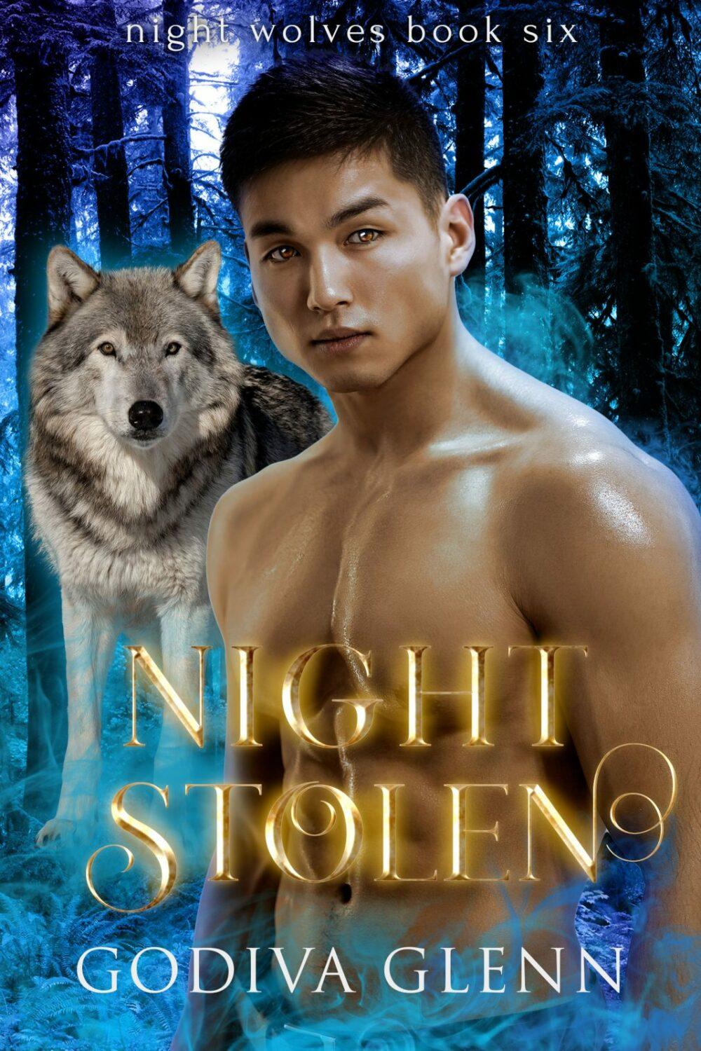 Night Stolen (Night Wolves book 6)