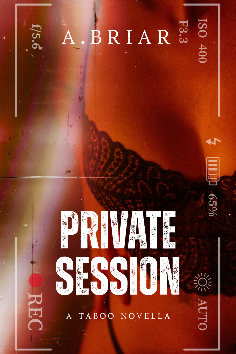 PRIVATE SESSION: A TABOO UNCLE AND NIECE BOOK